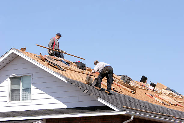 Best Solar Panel Roofing Installation  in Fort Valley, AZ
