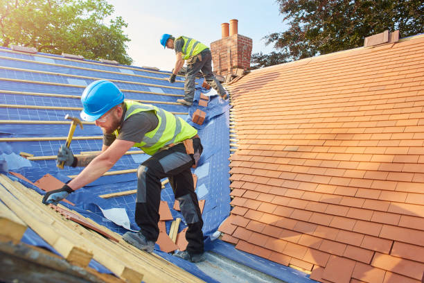 Best Roof Ventilation Installation  in Fort Valley, AZ